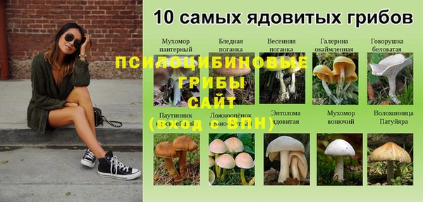 spice Лиски