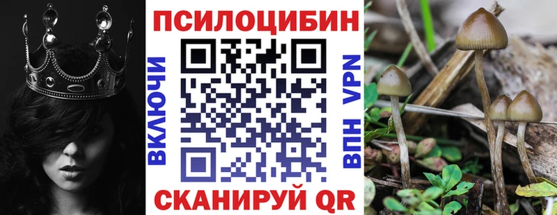 Галлюциногенные грибы Cubensis  Купить где  Заринск 